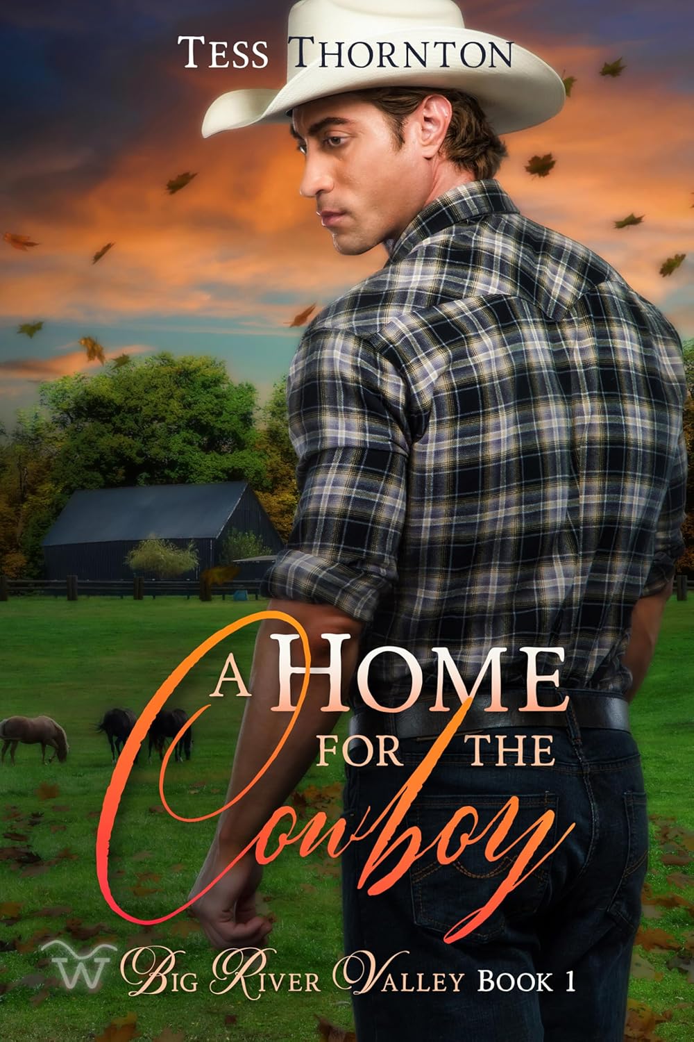 Book cover for A Home for the Cowboy by Tess Thornton