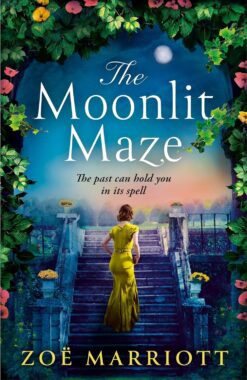 Book cover of The Moonlit Maze by Zoe Marriott